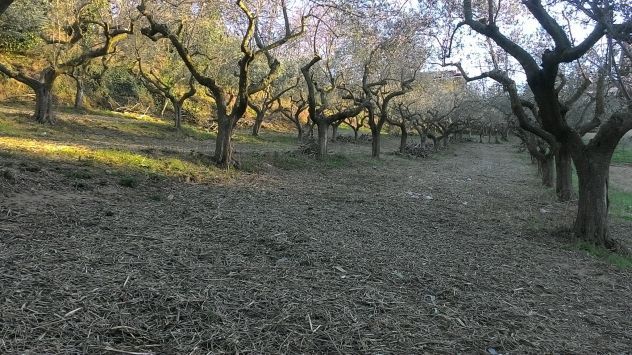 terreno edificabile in vendita a Silvi in zona Pianacce