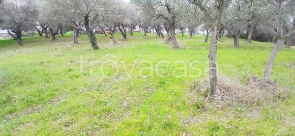 terreno edificabile in vendita a Silvi