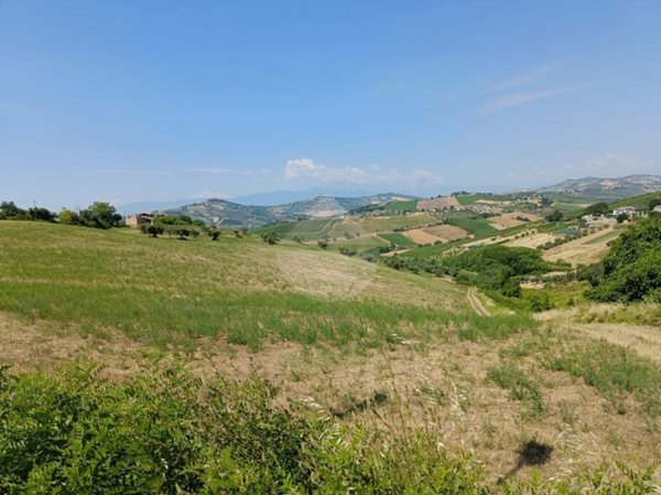 terreno agricolo in vendita a Silvi