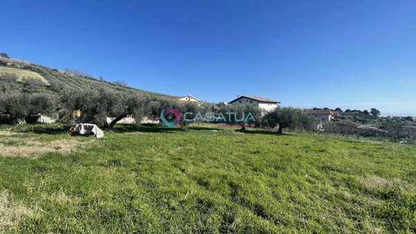 terreno agricolo in vendita a Silvi