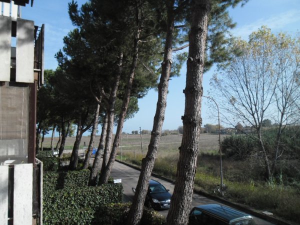 appartamento in vendita a Silvi in zona Silvi Marina