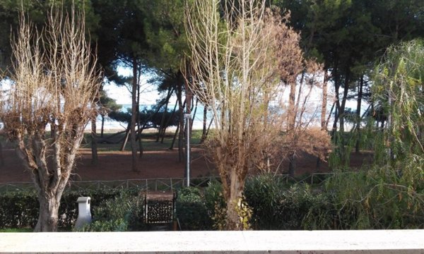 appartamento in vendita a Silvi in zona Silvi Marina