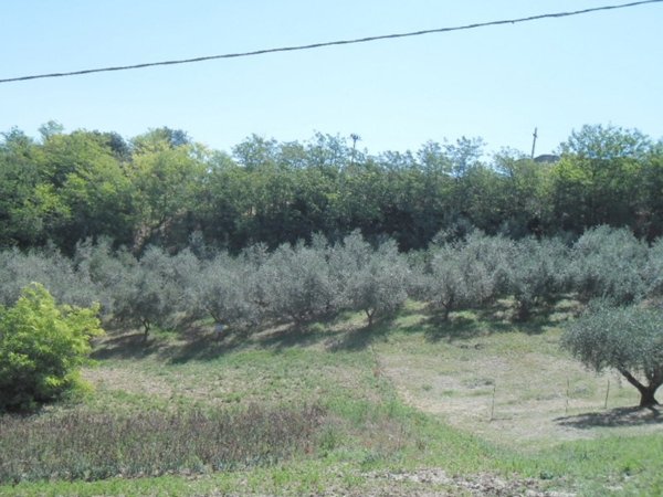 terreno agricolo in vendita a Silvi in zona Pianacce