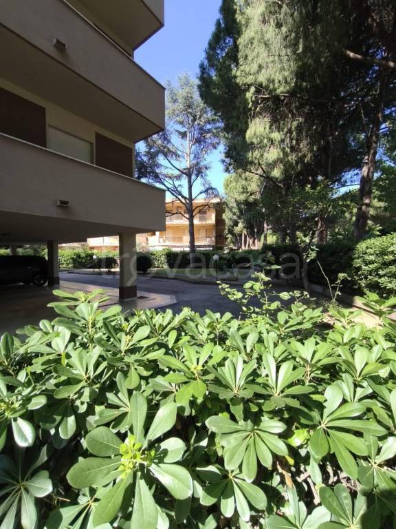 appartamento in vendita a Silvi in zona Silvi Marina