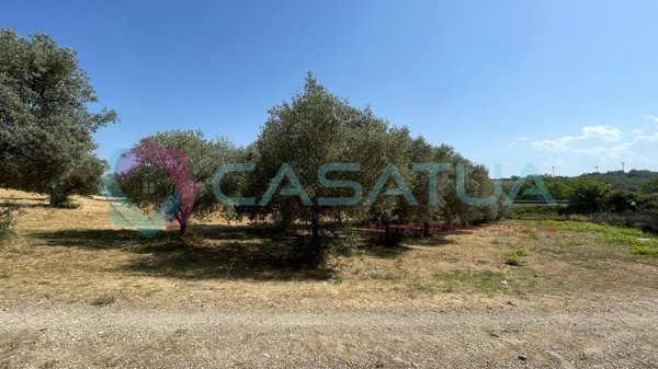 immagine annuncio 0 di 6