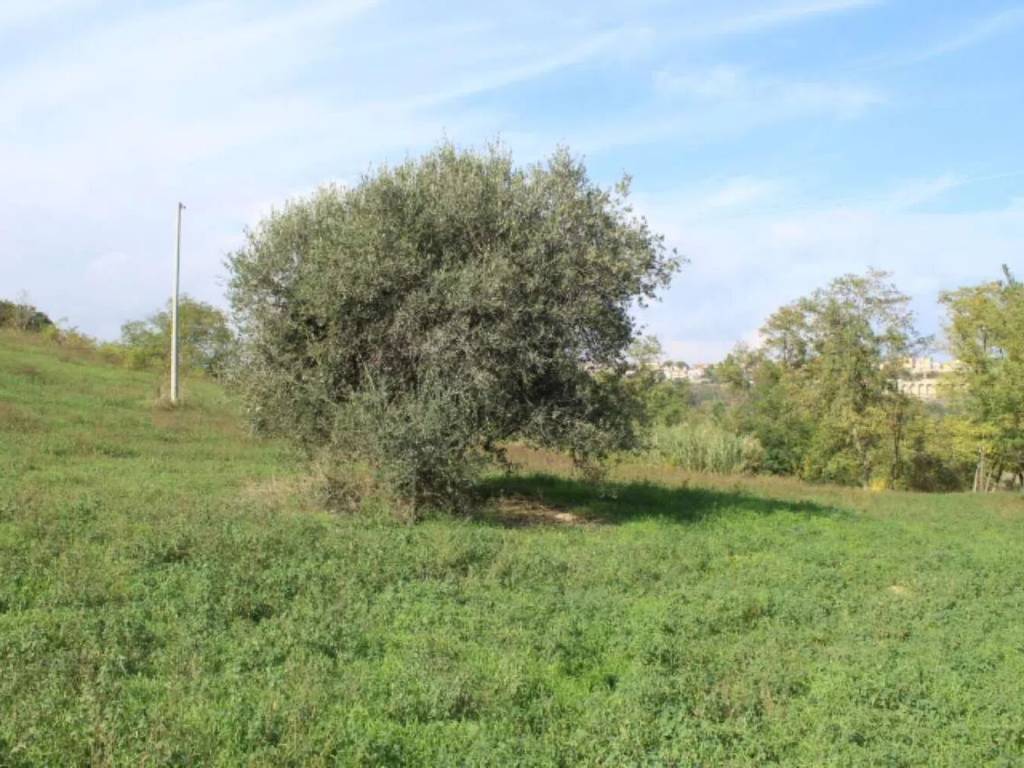 casa indipendente in vendita a Silvi in zona Pianacce