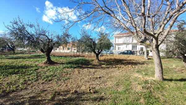 terreno edificabile in vendita a Silvi in zona Pianacce