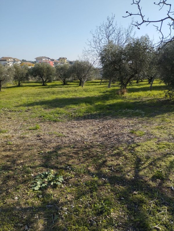 terreno edificabile in vendita a Silvi in zona Pianacce