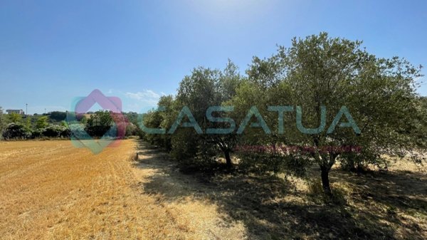 terreno edificabile in vendita a Silvi in zona Silvi Marina