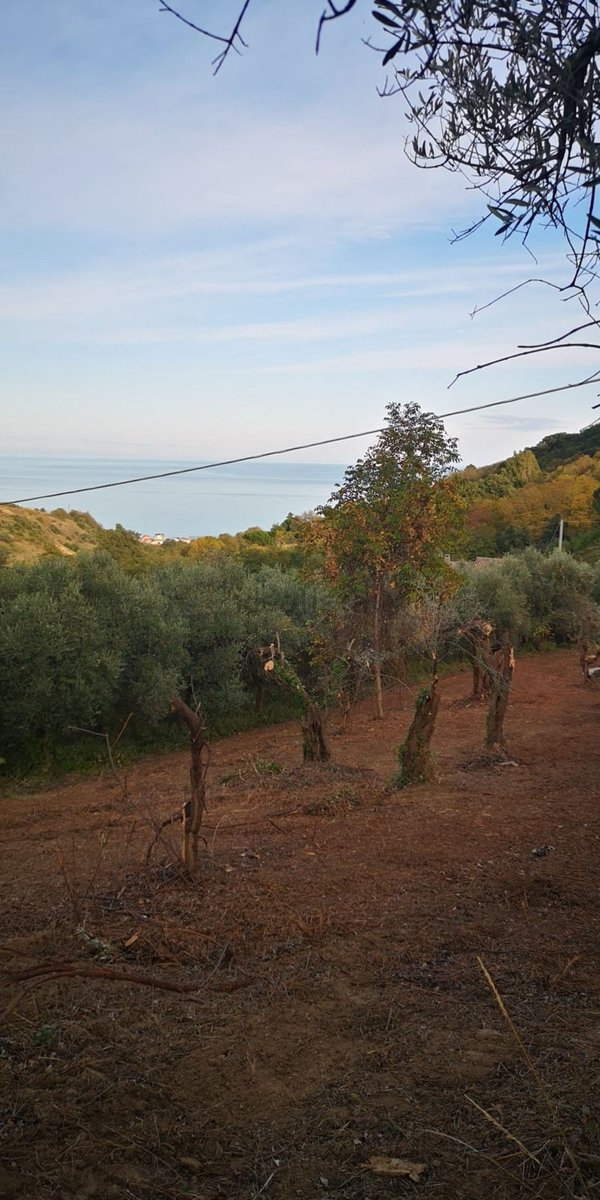 terreno agricolo in vendita a Silvi in zona Silvi Marina