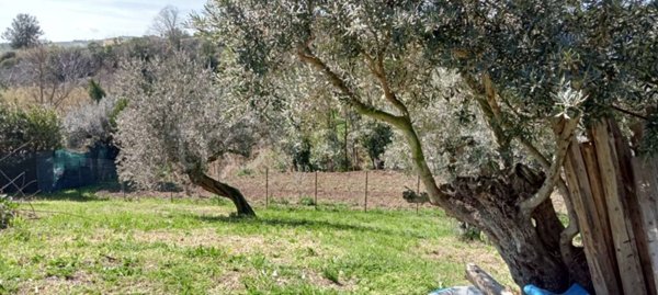 terreno edificabile in vendita a Silvi