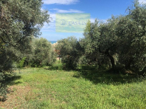 terreno edificabile in vendita a Silvi