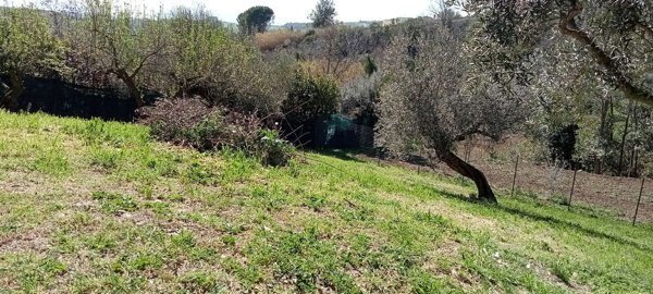 terreno edificabile in vendita a Silvi