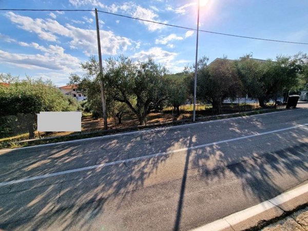 immagine annuncio 0 di 1