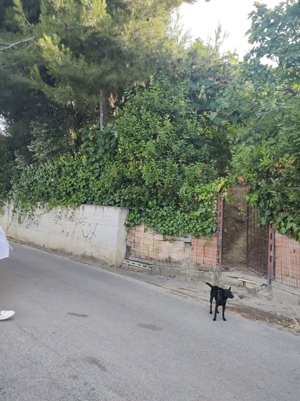 terreno edificabile in vendita a Silvi in zona Santo Stefano