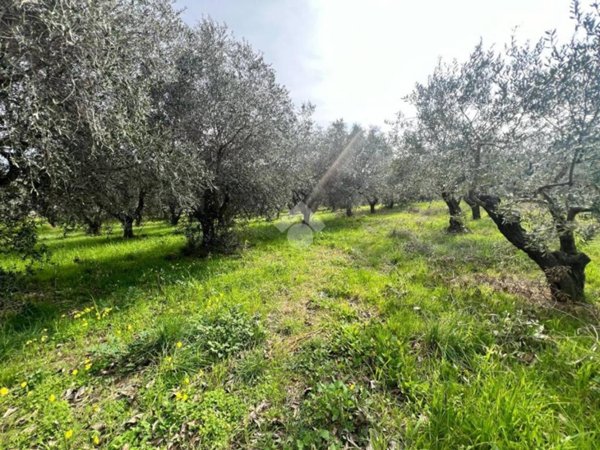 terreno edificabile in vendita a Silvi in zona Pianacce