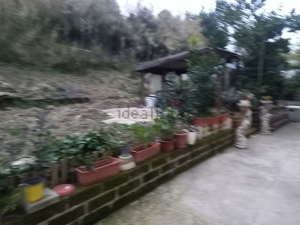 appartamento in vendita a Silvi