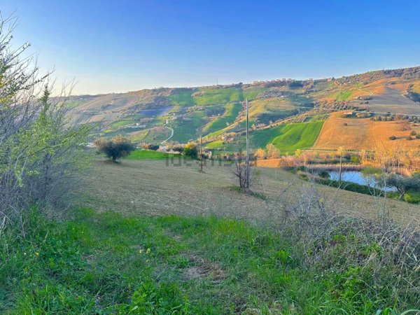 terreno agricolo in vendita a Silvi