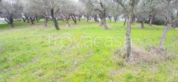 terreno edificabile in vendita a Silvi