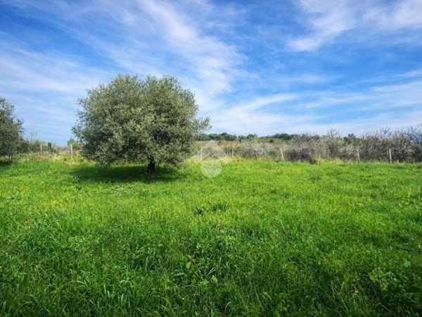 terreno in vendita a Silvi in zona Pianacce