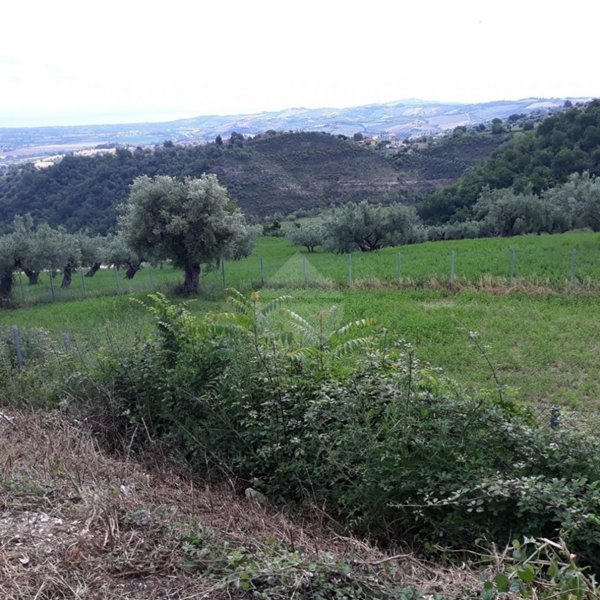 terreno agricolo in vendita a Teramo