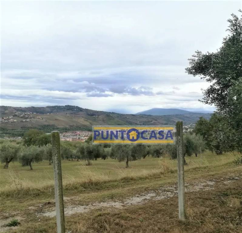 terreno agricolo in vendita a Teramo in zona San Nicolò a Tordino