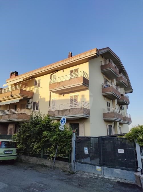 immagine annuncio 0 di 15