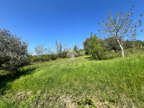 casa indipendente in vendita a Teramo in zona Villa Vomano