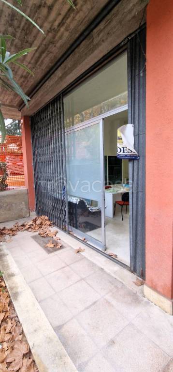 negozio in vendita a Teramo