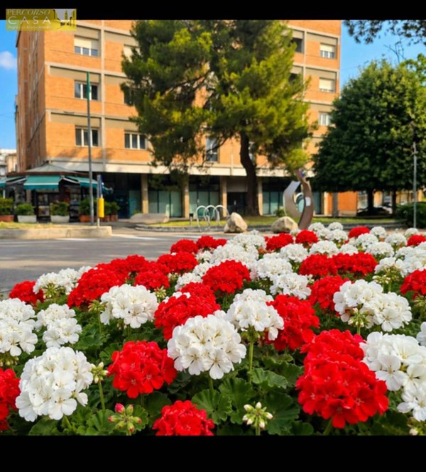 appartamento in vendita a Teramo in zona Centro Città