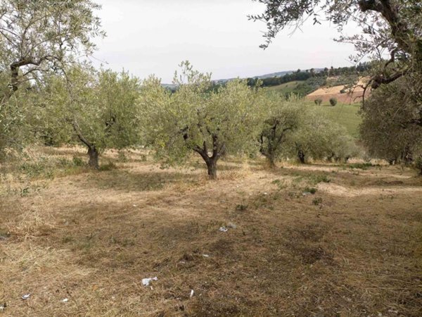 villa in vendita a Torano Nuovo