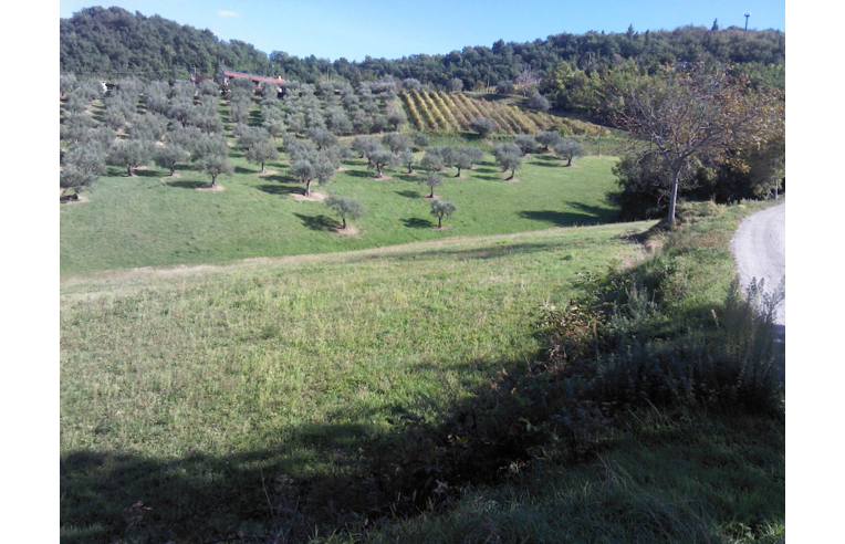 terreno agricolo in vendita a Torricella Sicura in zona Villa Tofo