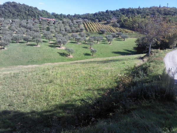 terreno agricolo in vendita a Torricella Sicura in zona Villa Tofo