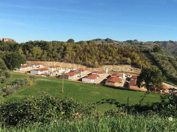 terreno in vendita a Torricella Sicura in zona Piano Grande