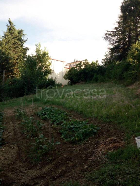 terreno in vendita a Torricella Sicura in zona Piano Grande