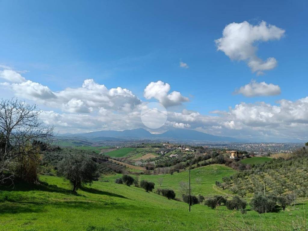 terreno agricolo in vendita a Tortoreto in zona Terrabianca