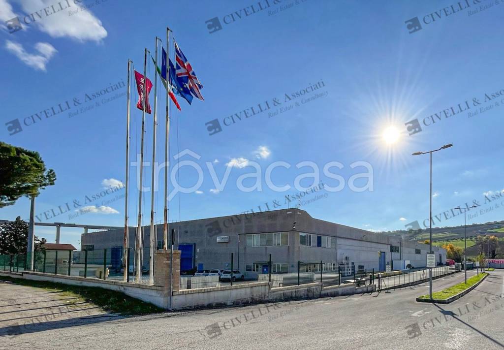 quadrivano in vendita a Tortoreto