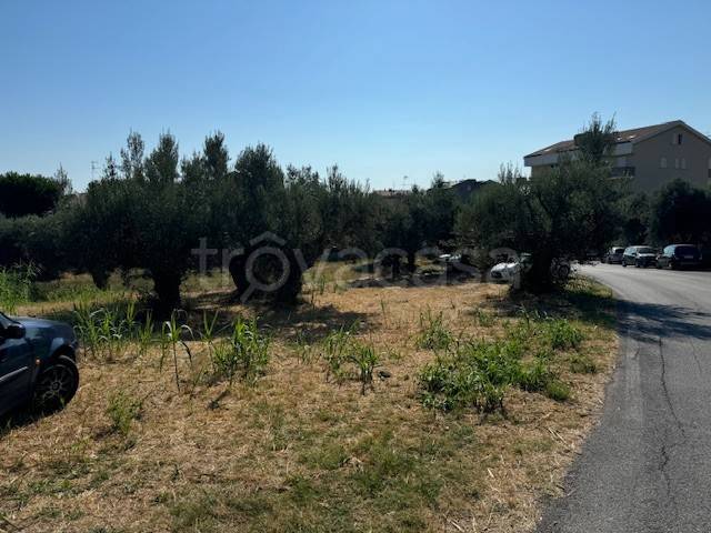 terreno agricolo in vendita a Tortoreto