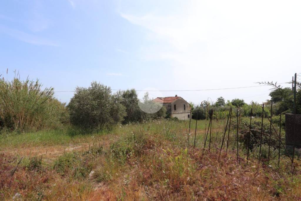 terreno agricolo in vendita a Tortoreto