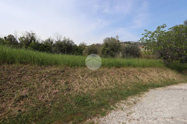 terreno agricolo in vendita a Tortoreto