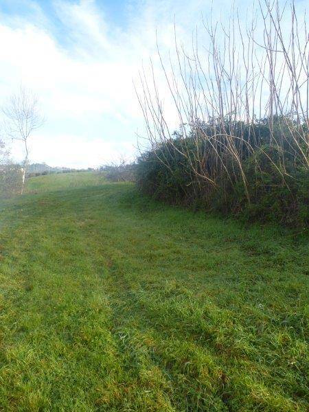 rudere in vendita a Tortoreto in zona Cavatassi