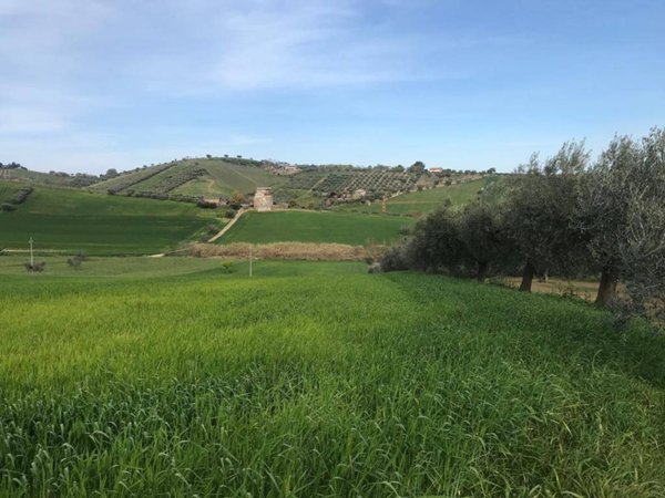 terreno agricolo in vendita a Tortoreto in zona Salino
