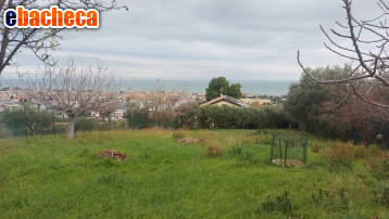 casa indipendente in vendita a Tortoreto