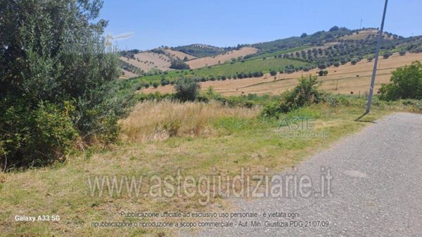 terreno agricolo in vendita a Tortoreto