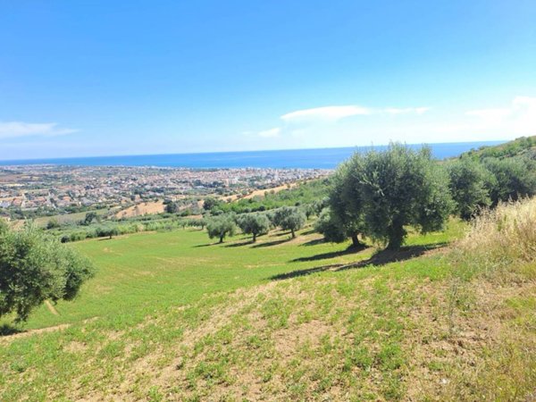 terreno agricolo in vendita a Tortoreto