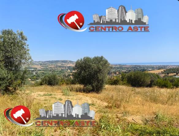 terreno agricolo in vendita a Tortoreto