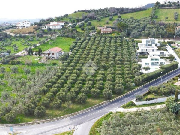 terreno agricolo in vendita a Tortoreto
