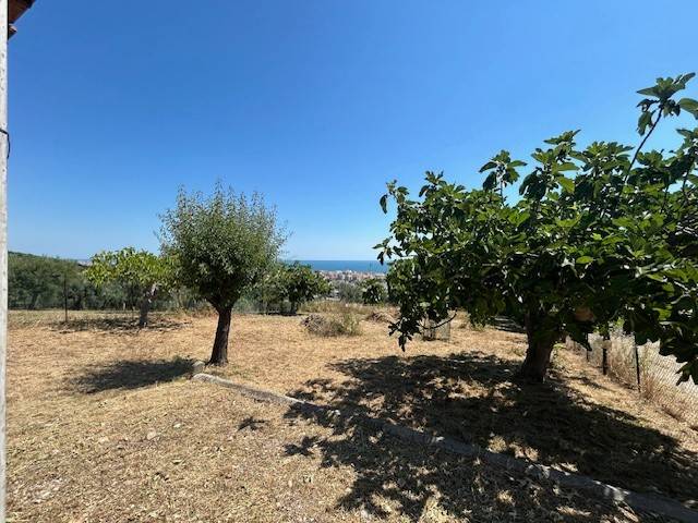 terreno agricolo in vendita a Tortoreto