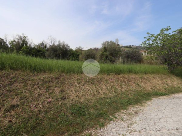 terreno agricolo in vendita a Tortoreto