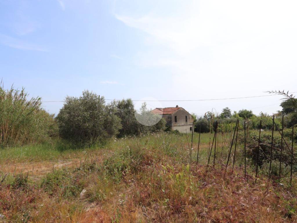 terreno agricolo in vendita a Tortoreto